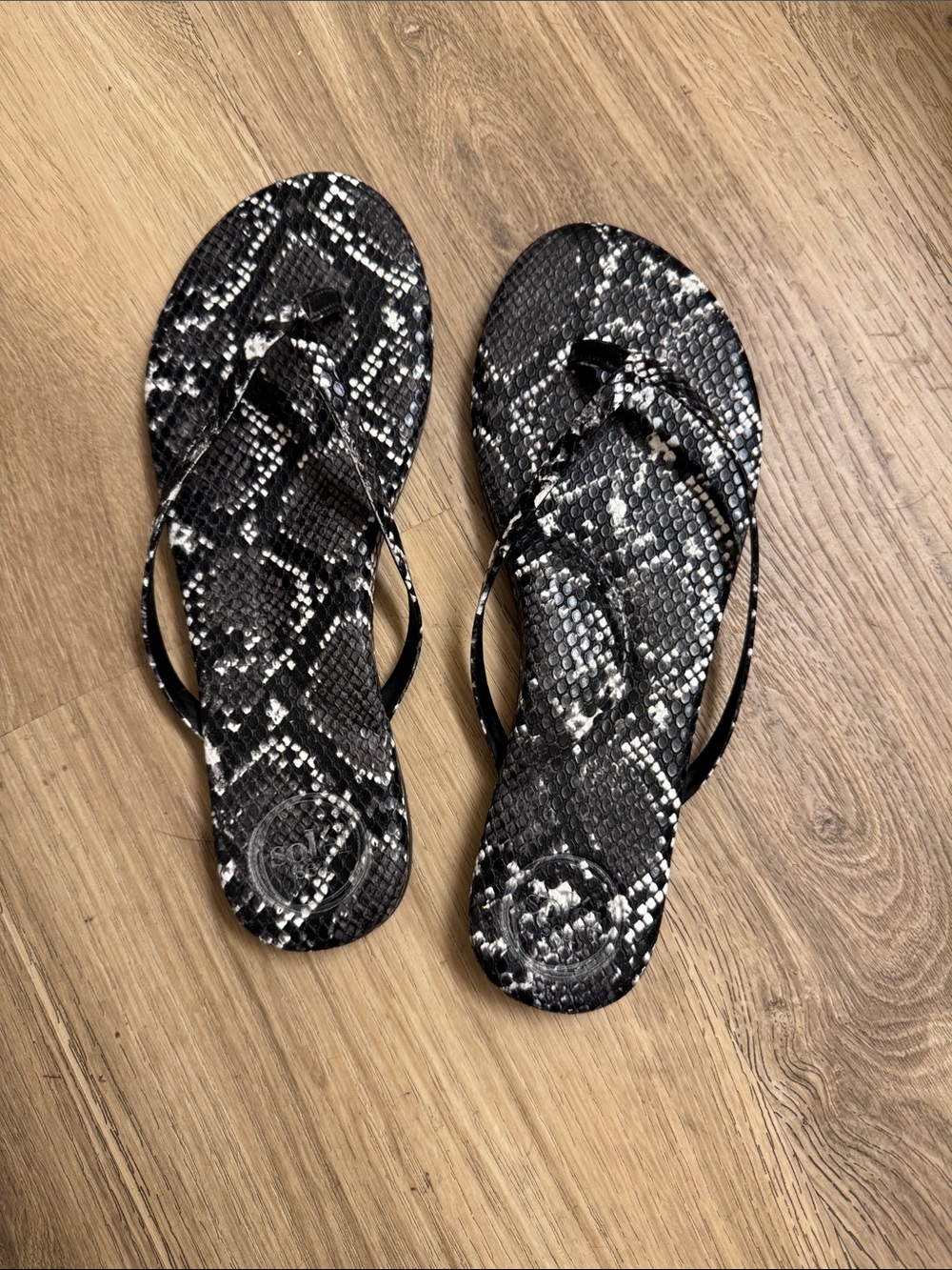Women's Black Snake-Print Flip Flop Sandals